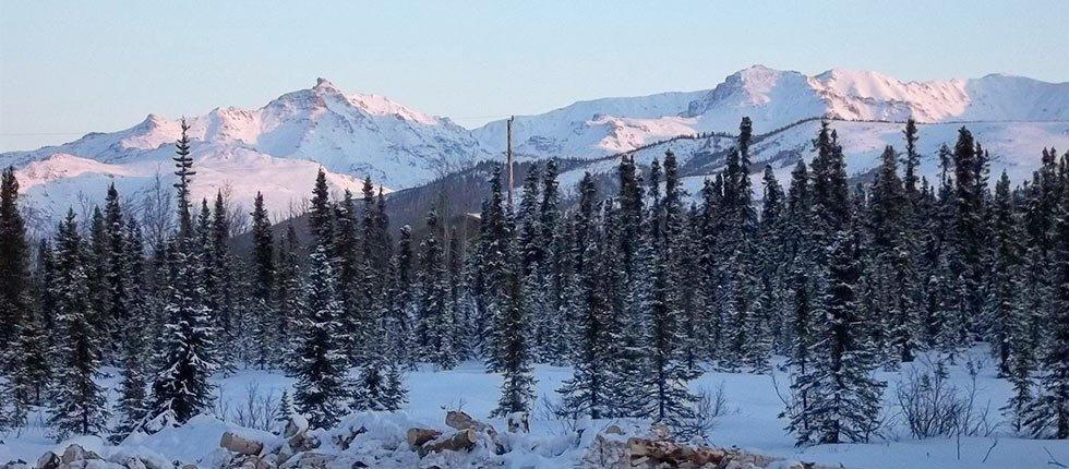 Denali Touch Of Wilderness B&B Healy Bagian luar foto